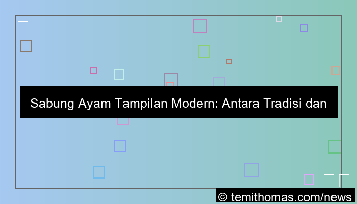 sabung ayam tampilan modern