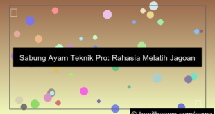 gambar sabung ayam teknik pro