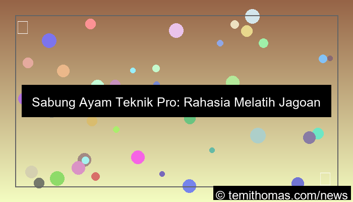 gambar sabung ayam teknik pro