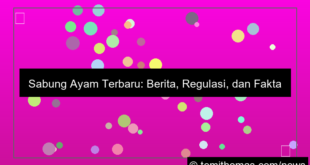 grafik sabung ayam terbaru