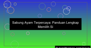 sabung ayam terpercaya