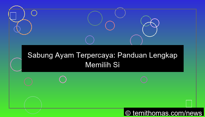 sabung ayam terpercaya
