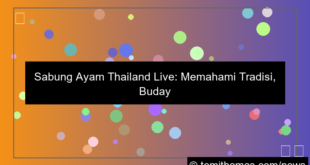 sabung ayam thailand live