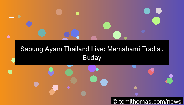 sabung ayam thailand live