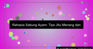 sabung ayam tips menang