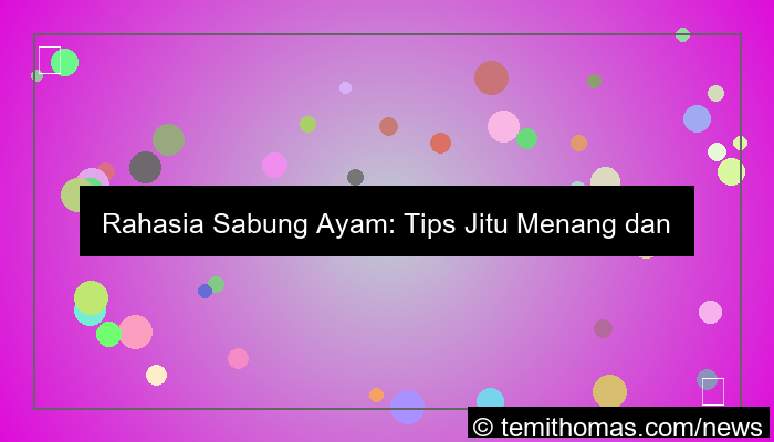 sabung ayam tips menang