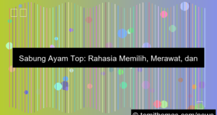 desain sabung ayam top