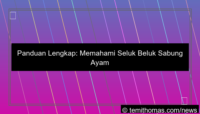 sabung ayam tutorial