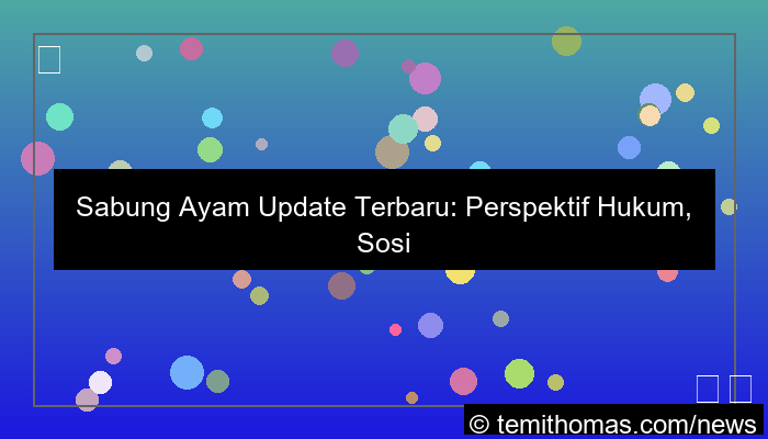 gambar sabung ayam update terbaru