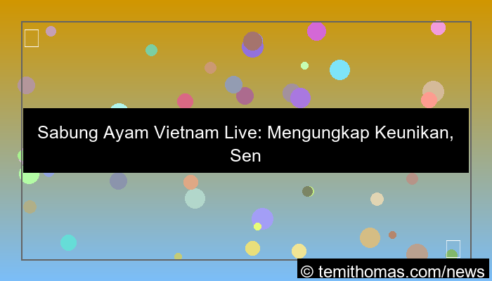 grafik sabung ayam vietnam live