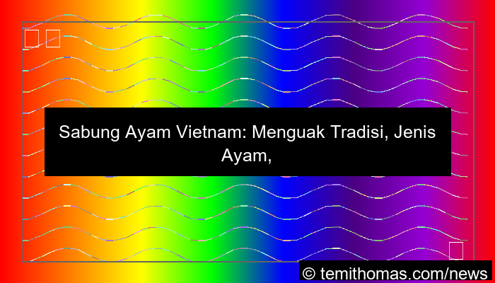 sabung ayam vietnam