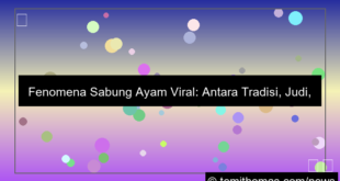 grafik sabung ayam viral