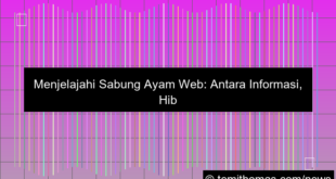 sabung ayam web