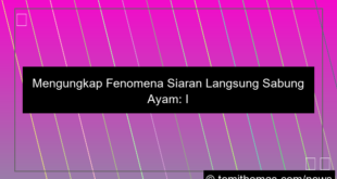 siaran langsung sabung ayam