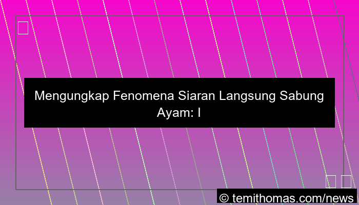siaran langsung sabung ayam