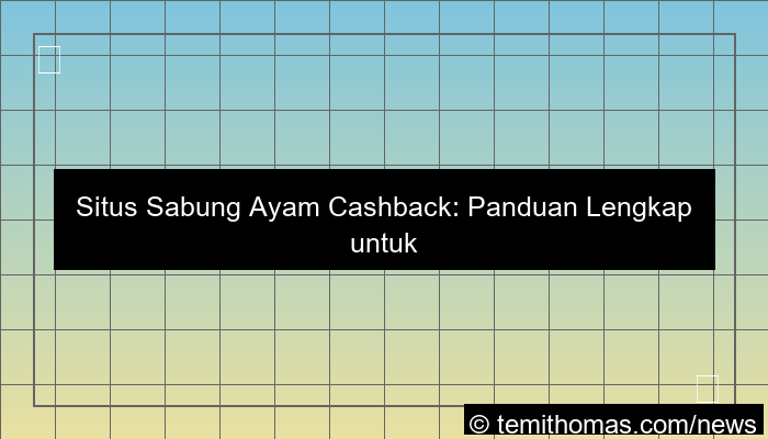 desain situs sabung ayam cashback