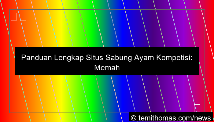 visual situs sabung ayam kompetisi