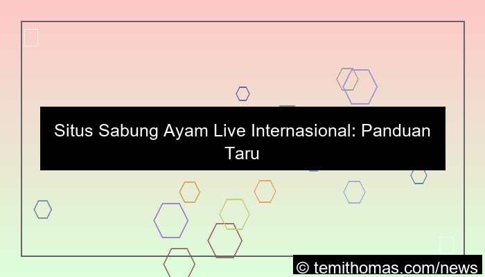 situs sabung ayam live internasional
