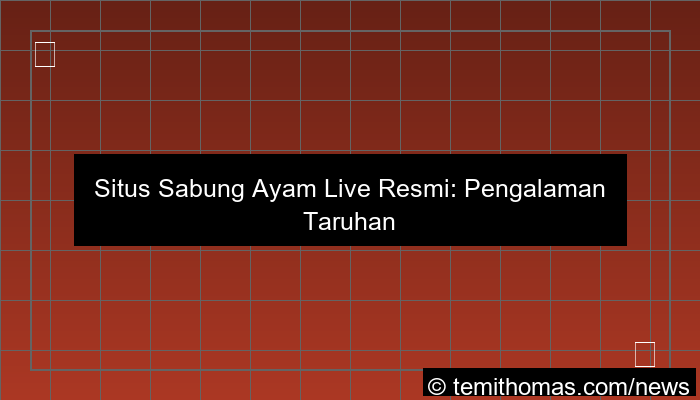 ilustrasi situs sabung ayam live resmi
