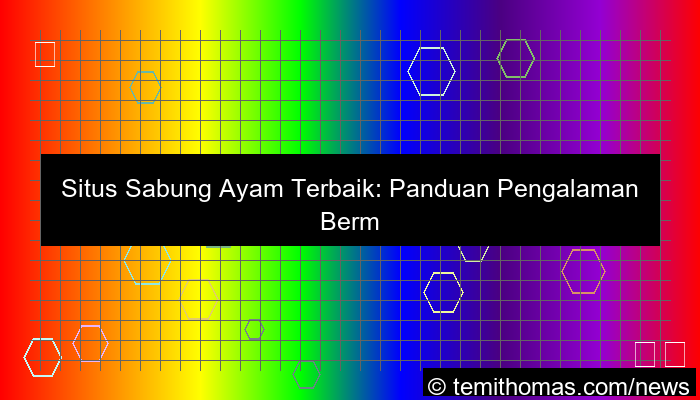 situs sabung ayam pengalaman terbaik