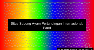 situs sabung ayam pertandingan internasional