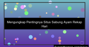 ilustrasi situs sabung ayam rekap harian