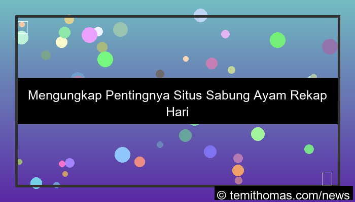 ilustrasi situs sabung ayam rekap harian