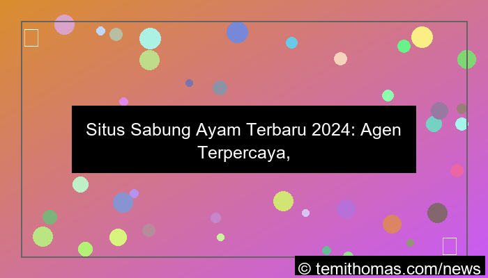 desain situs sabung ayam terbaru