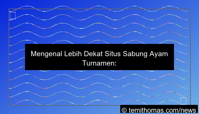 situs sabung ayam turnamen