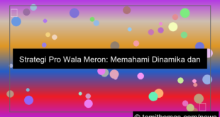 strategi pro wala meron