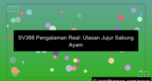 sv388 pengalaman real