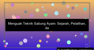 ilustrasi teknik sabung ayam