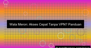 visual wala meron akses cepat tanpa vpn