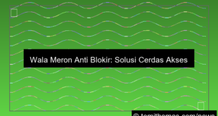 wala meron anti blokir