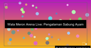 visual wala meron arena live