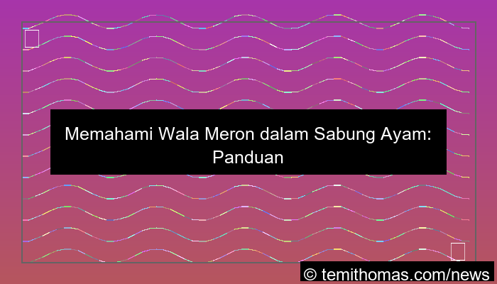 wala meron dalam pertandingan sabung ayam