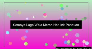 gambar wala meron laga seru hari ini