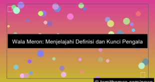 visual wala meron pengalaman terbaik