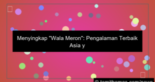 wala meron pengalaman terbaik asia