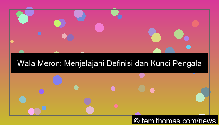 visual wala meron pengalaman terbaik