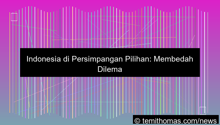 visual wala meron pilihan utama indonesia