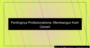 grafik wala meron profesional