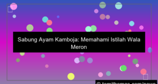 grafik wala meron sabung ayam cambodia