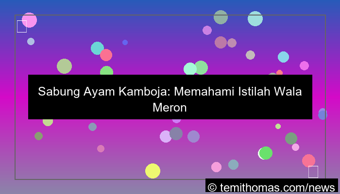 grafik wala meron sabung ayam cambodia