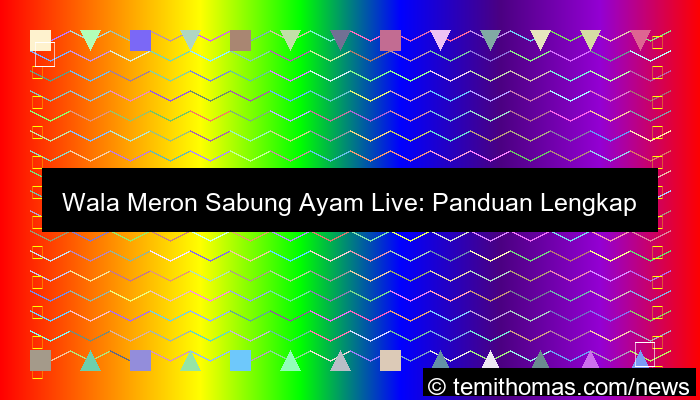 visual wala meron sabung ayam live