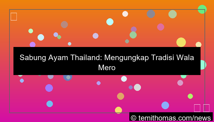 wala meron sabung ayam thailand