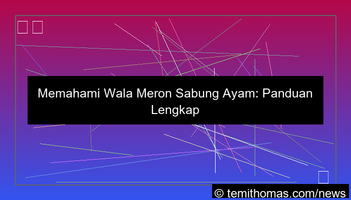 wala meron sabung ayam