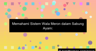 ilustrasi wala meron sistem sabung ayam