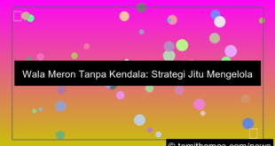 desain wala meron tanpa kendala