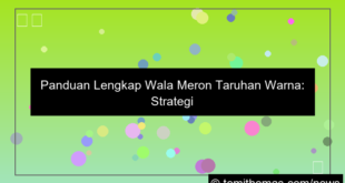 visual wala meron taruhan warna